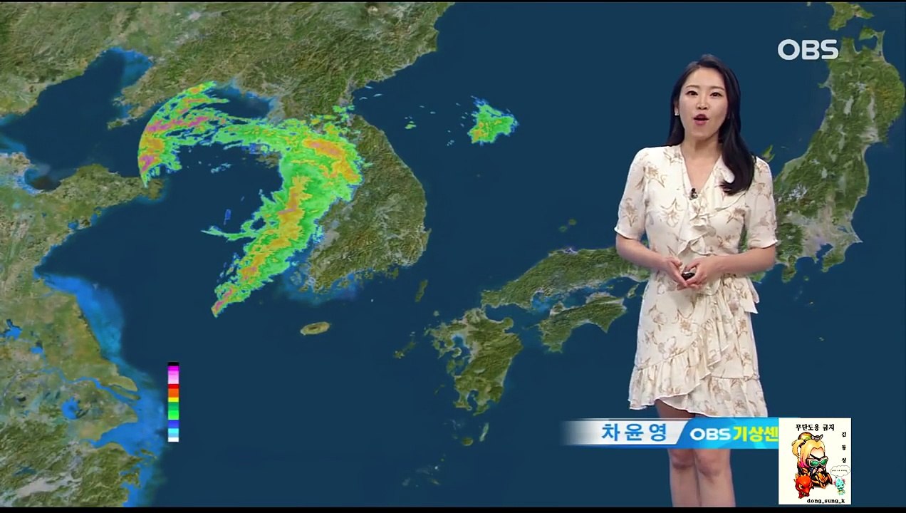 2016 06 15 08시03분 CH8 1 OBS   차윤영 캐스터