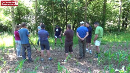 FD CUMA : semis direct de maïs