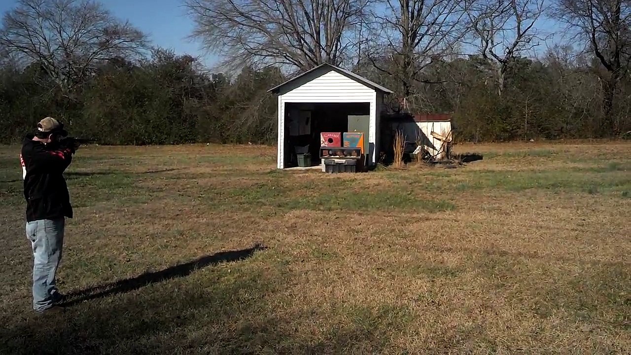 Plinker Target @ home with Ruger 10/22,  .22LR