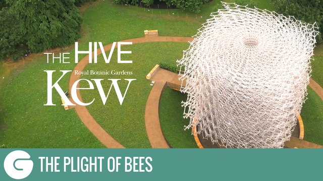 Kew Gardens | The Hive