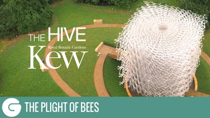 Kew Gardens | The Hive
