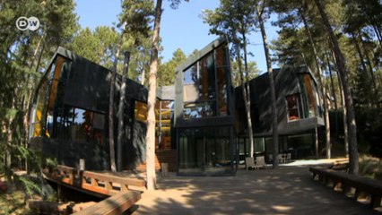 Casa Levene: a arquitetura que respeita a natureza