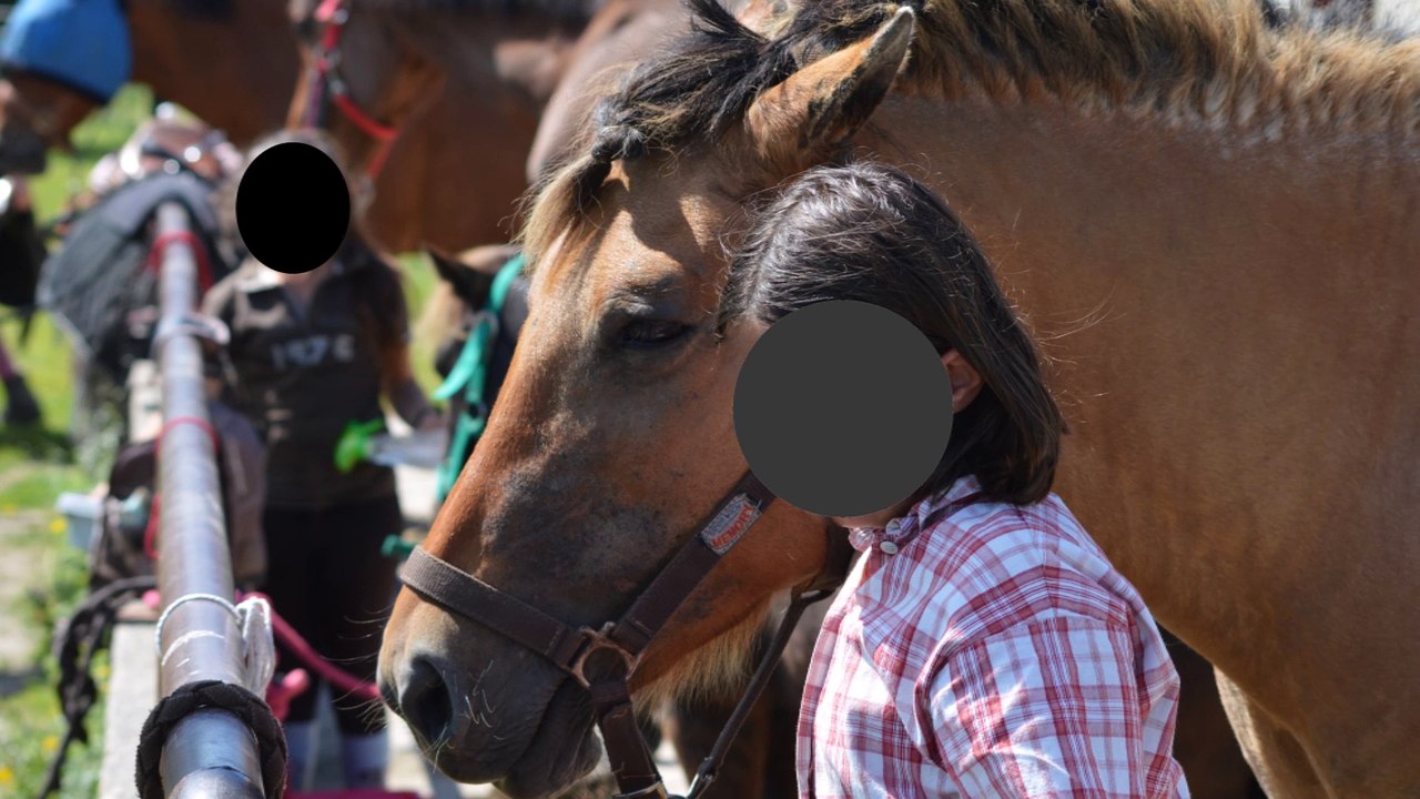 FERME EQUESTRE