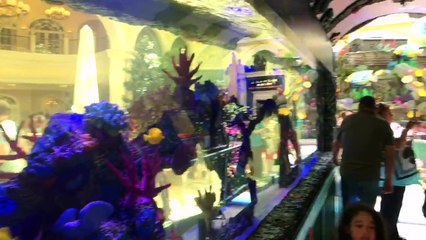 15 республик 1556