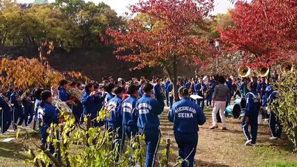 2014 精華女子 第２７回全日本マーチングコンテスト 練習風景 CEREBRATION GOD SPEED!