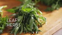 Storing Herbs