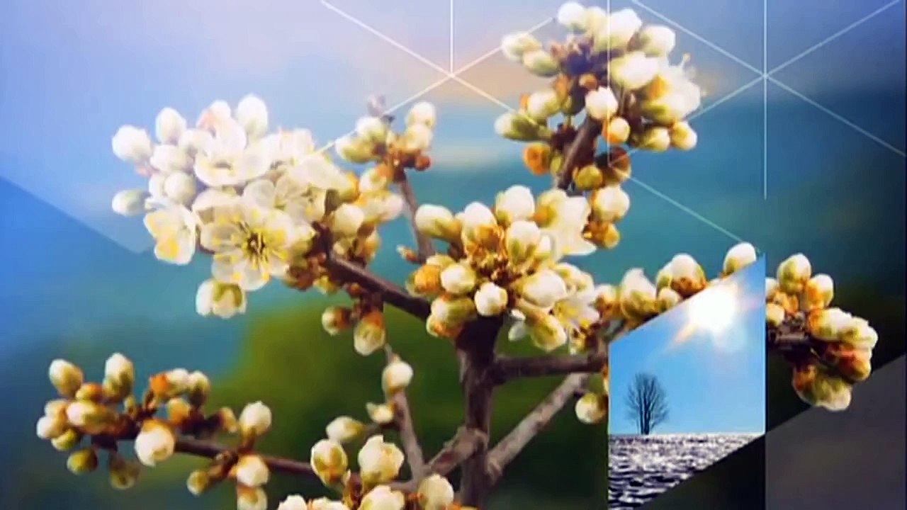 Marlène Duret - Météo iTélé Samedi 26 juillet 2014 16h-07h