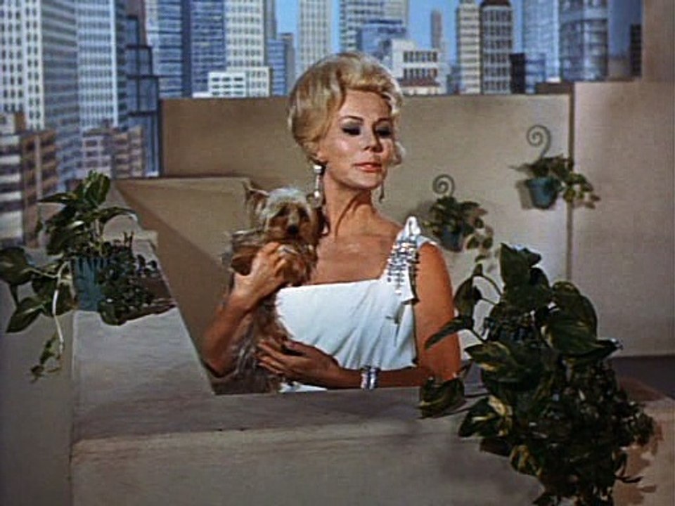 Green Acres S02e29 Who's Lisa