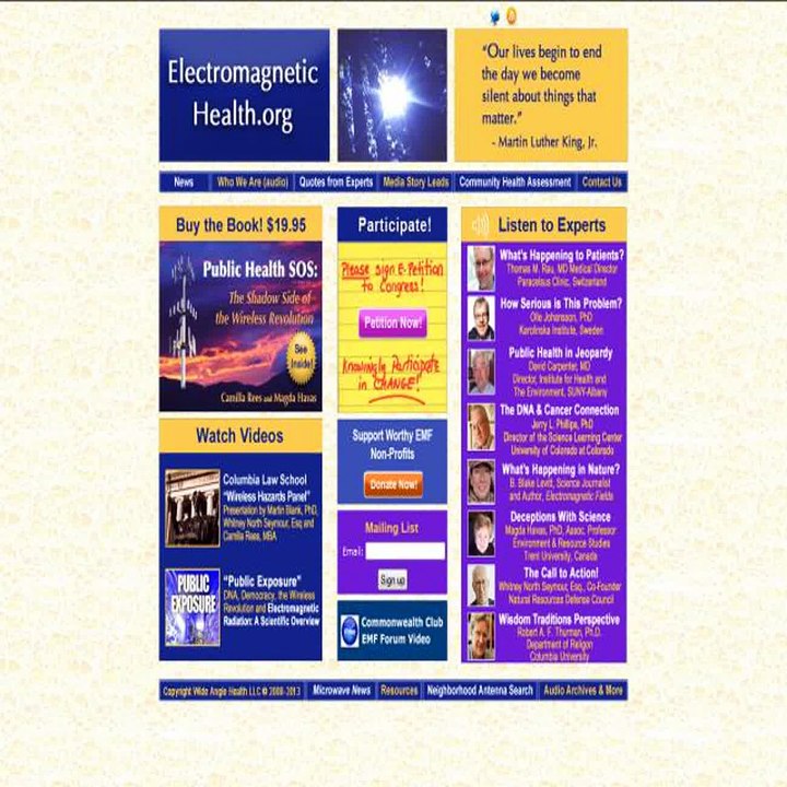 Electromagnetic  Health