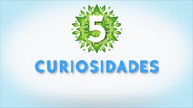 5 Curiosidades 