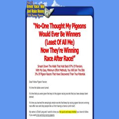 How To Race, Breed, Win And Makey Money