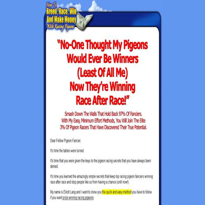 How To Race, Breed, Win And Makey Money