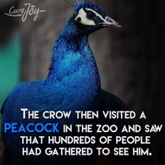 Donot made Unnecessary comparision with others