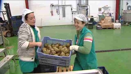 La OCDE destaca la alta temporalidad del empleo en España