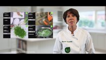 MOOC Afpa Cuisine - Introduction semaine 1 - Légumes