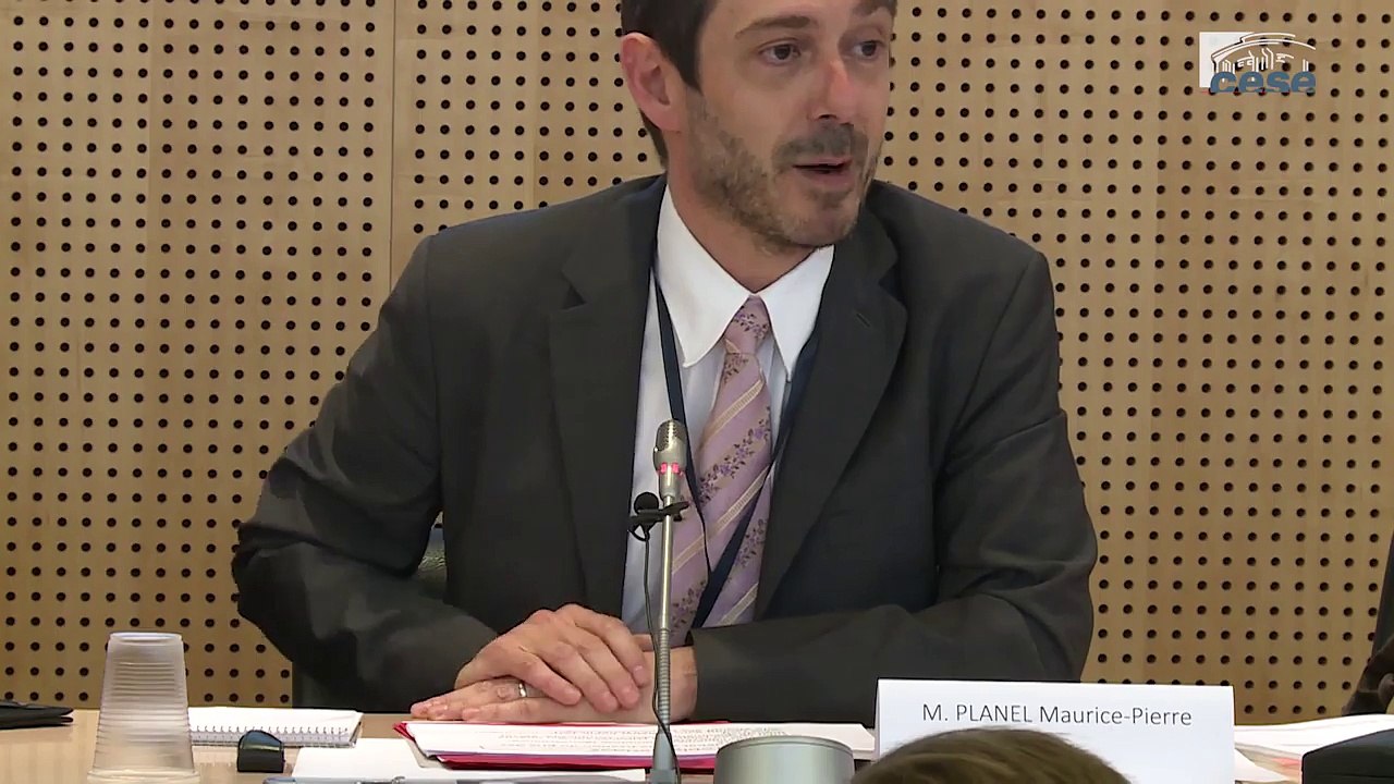 Audition de Maurice-Pierre PLANEL, (CEPS) - Prix et accès traitements médicamenteux innovants - cese