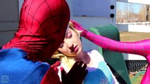 Pembe Spidergirl  Mermaid Tai'yi  Kaybediyor ! Joker Candy ve Örümcek Adam, Dondurulmuş Elsa & Anna