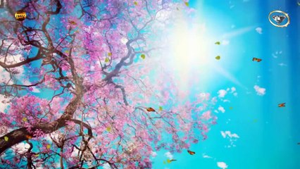 İnsana sahip olduğu tüm güzellikleri bağışlayan Allah'tır