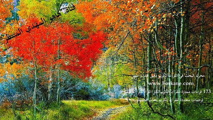 هذه القناة ... قناة هاهو المهدي المنتظر