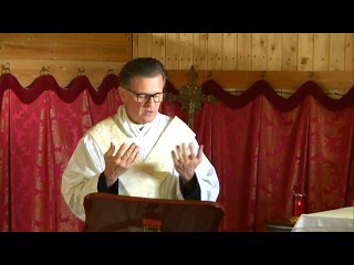 Sermon XX° apres Pentecote