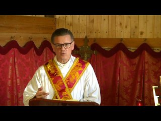 Sermon XXI apres Pentecote (St. Luca)