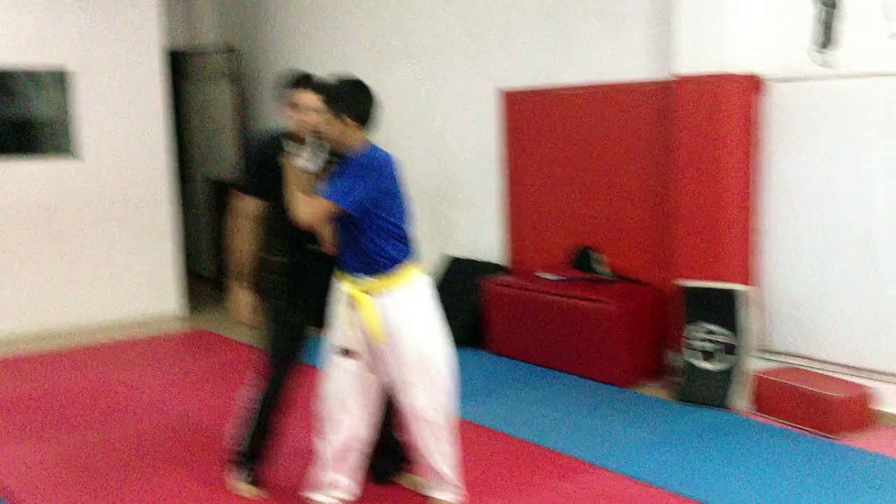 Hapkido Harpia 1