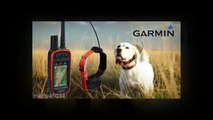 Garmin Dog Collars | GPS Technology| Pet Store Unlimited