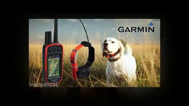 Garmin Dog Collars | GPS Technology| Pet Store Unlimited