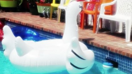 Preview:  Board Meeting 4 the Fourth