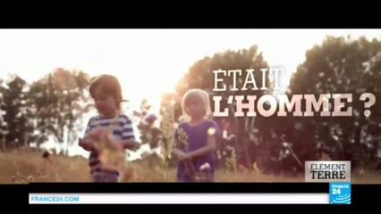 La sixième extinction de masse ? "Reconstruire la nature avant qu'il ne soit trop tard" #ÉlémentTerre