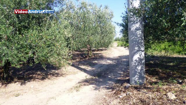 Auto rubata nelle campagne di Andria