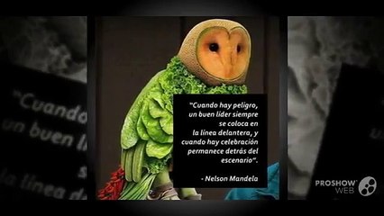 #10 Mixture de imágenes WWW con fines educativos generales, al 2013.11.13.