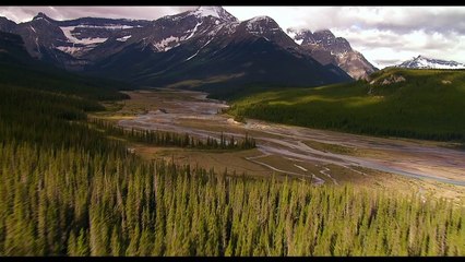 I Purged - THE PURGE 3 'Election Year' VIRAL CLIP