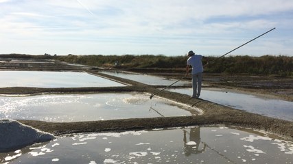 Saison 2016 : Première prise de sel à Guérande