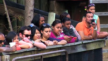 An Eye On I-Drive- The Gator Crusader