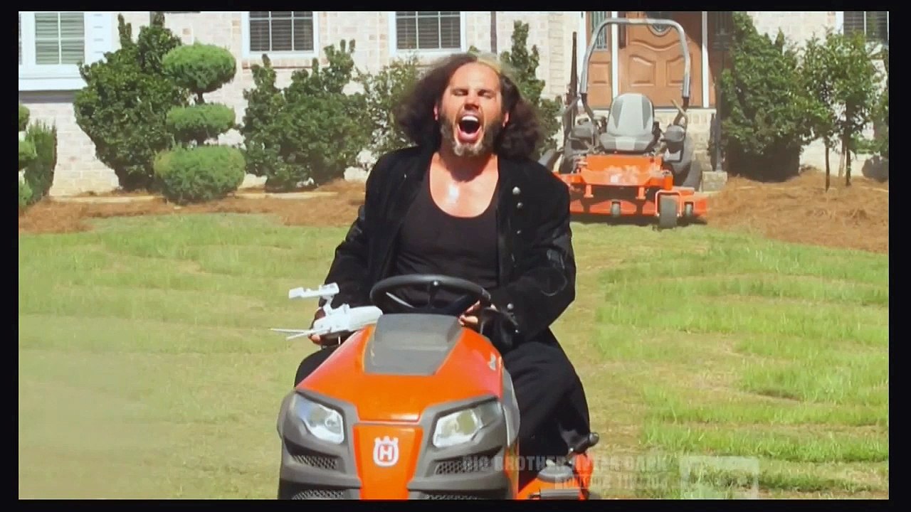 Let's Laugh At The Hardys Vol. 2
