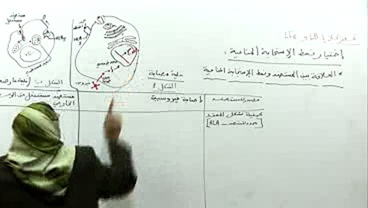 العلاقة بين نمط المستضد ونمط الاستجابة 2