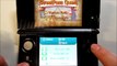 2 Iwatas in Nintendo 3DS StreetPass Quest