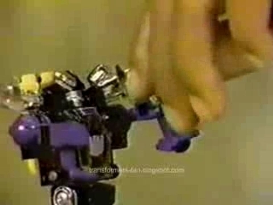 Transformers Toys : Insecticons