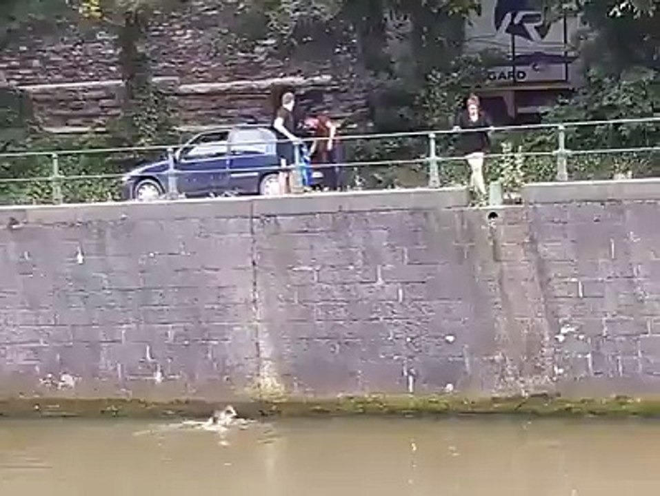 Tournai : Il plonge dans l’Escaut pour sauver un chien
