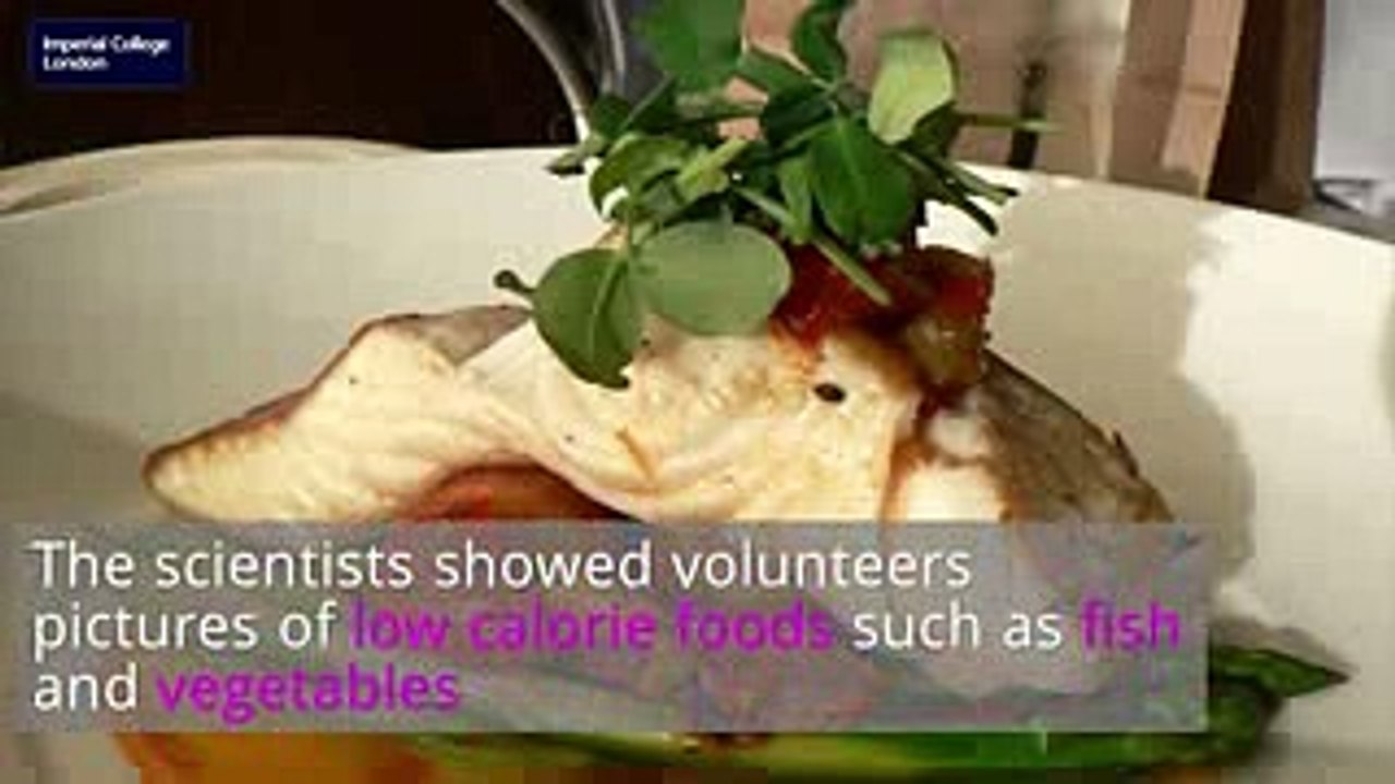 Can scientists switch off junk food cravings with a simple food ingredient