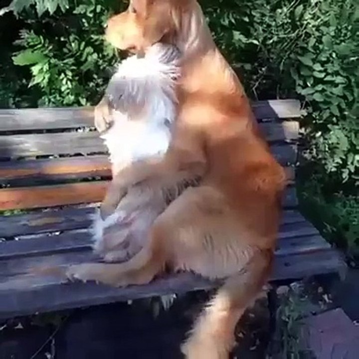 Oh c'est trop Mignon