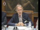 Roma - Alitalia audizione Presidente e Amministratore delegato (06.07.16)