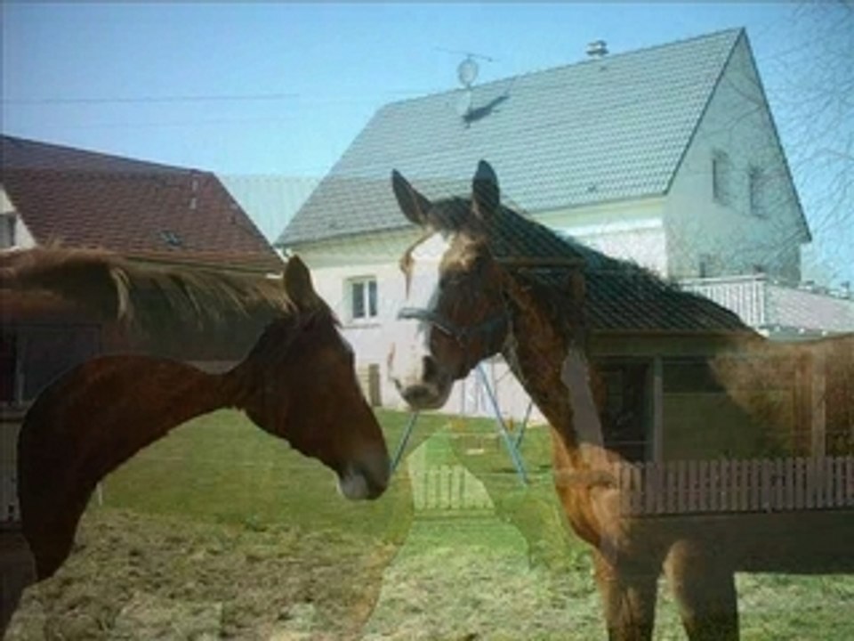 Montage Hommage Kokin