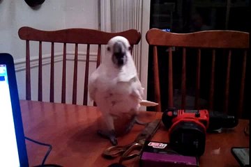 video-2010-10-29-22-00-15