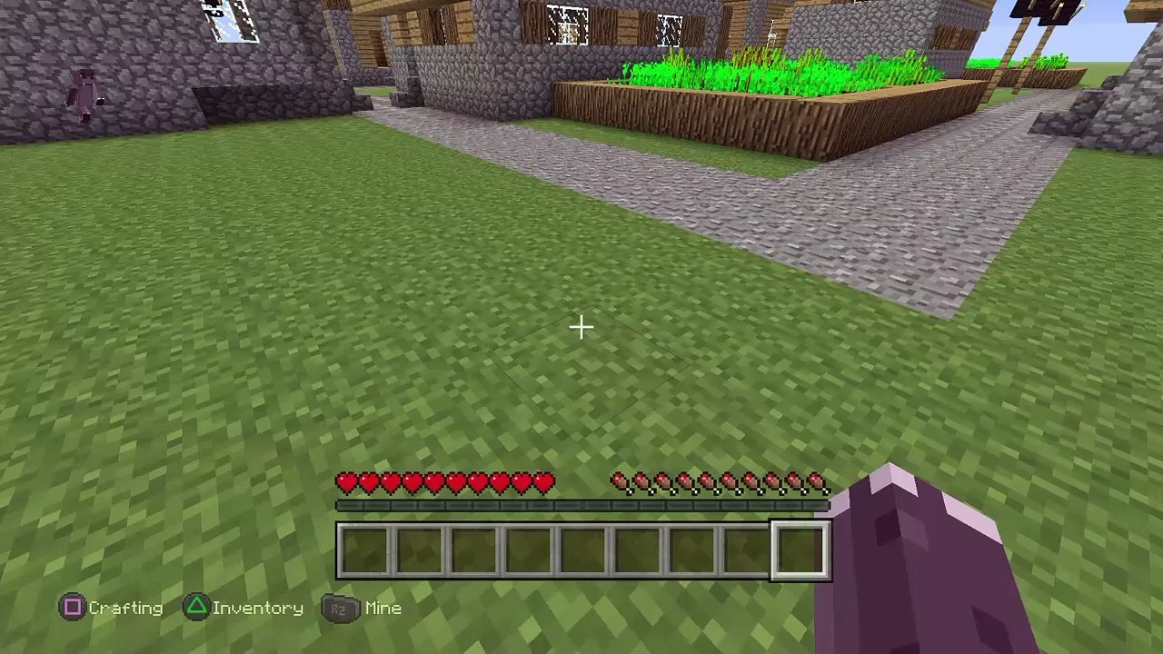 Crazy Kid Gets Revenge