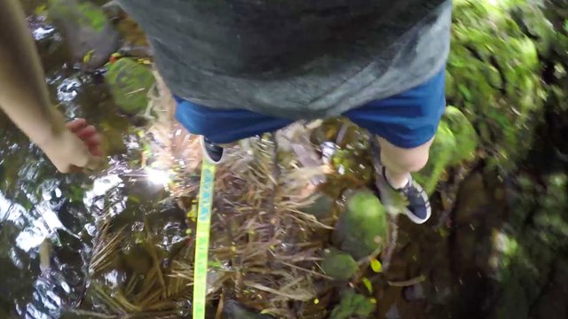 Alex Mason's POV on an 8-Line Hawaiian Slackladder