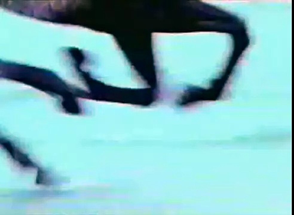 Black Horse Intro 2