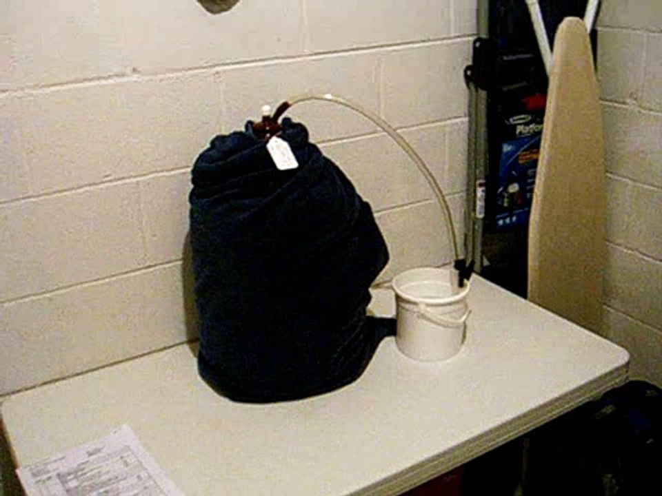 Blonde Ale - 24 hours into primary fermentation