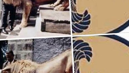 ANSWERS TO questions..charles tha god has